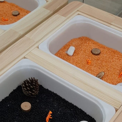 Tiger Sensory play kit