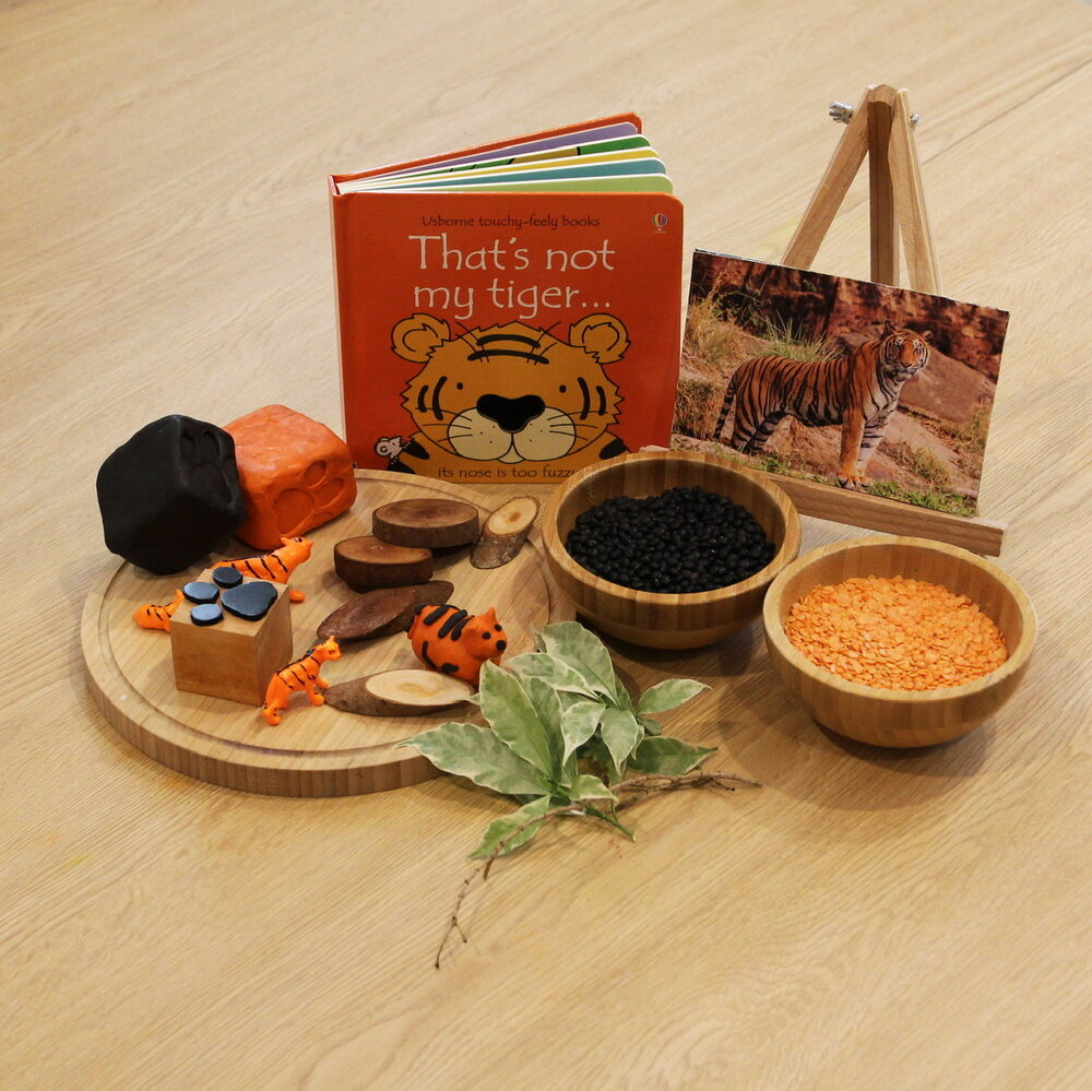 Tiger Sensory play kit